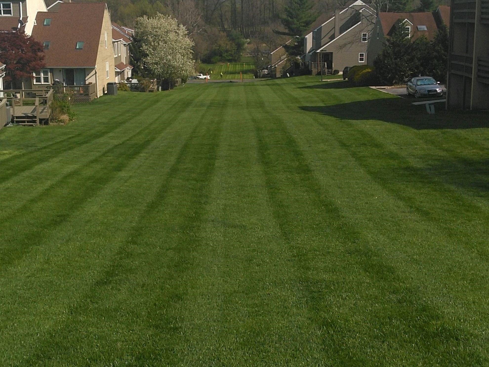 grounds care mow lines in multi-family community in Delaware County PA