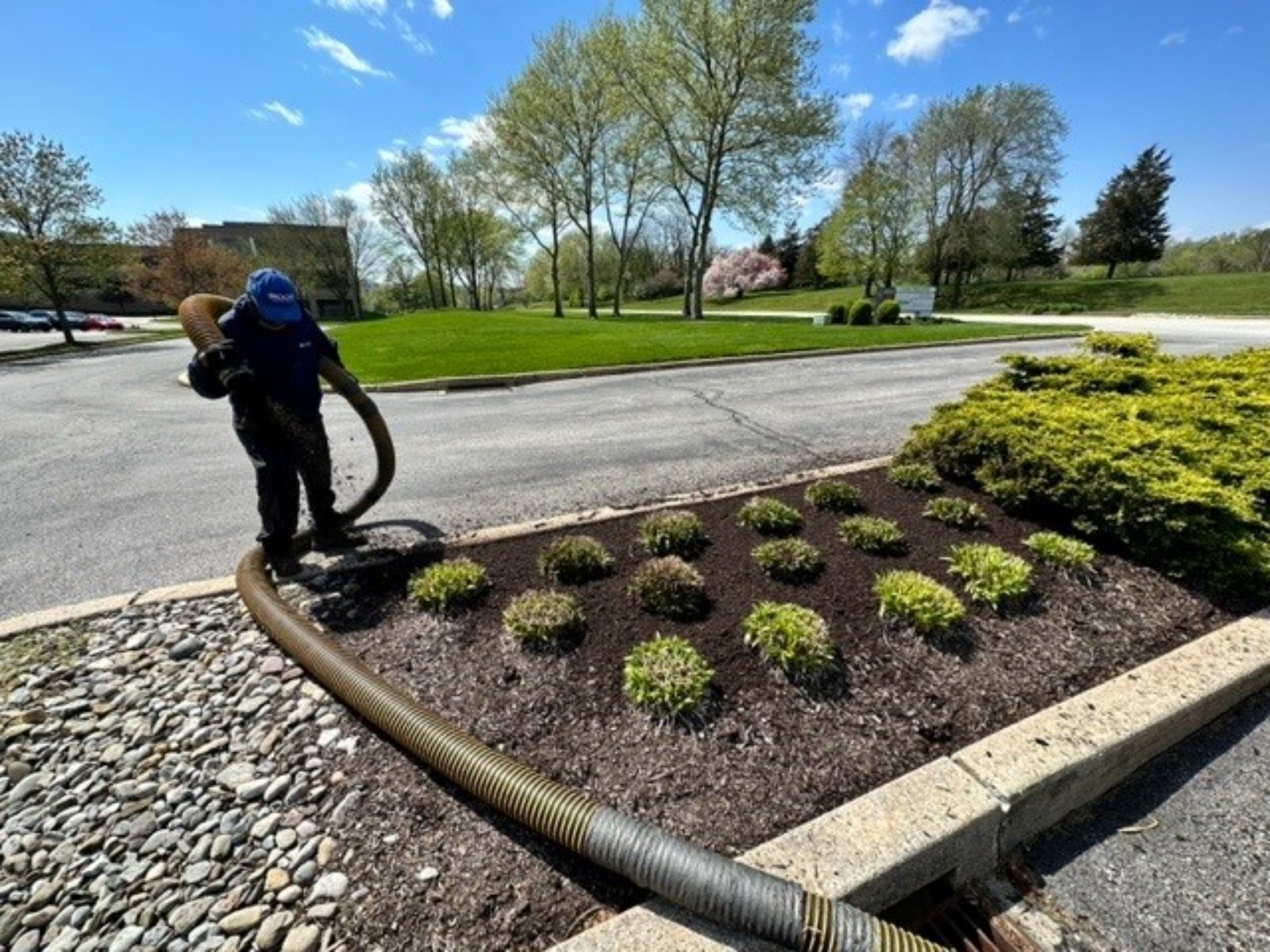 Spraying mulch, spring clean-up, landscape enhancements Brogan