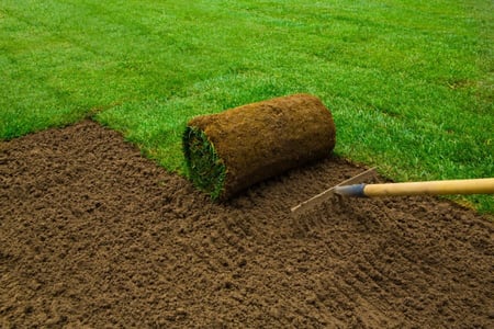 sod and rake, landscape construction