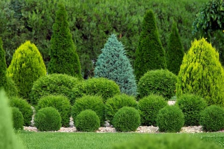 chester-county-commercial-landscaping-tree-shrub-care-services