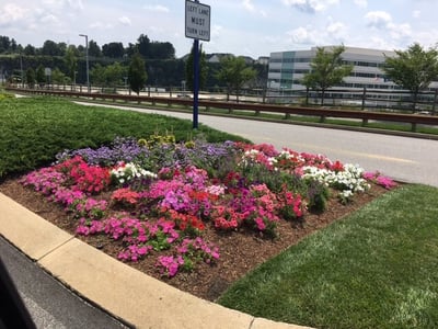 flower bed, commercial property island, offices