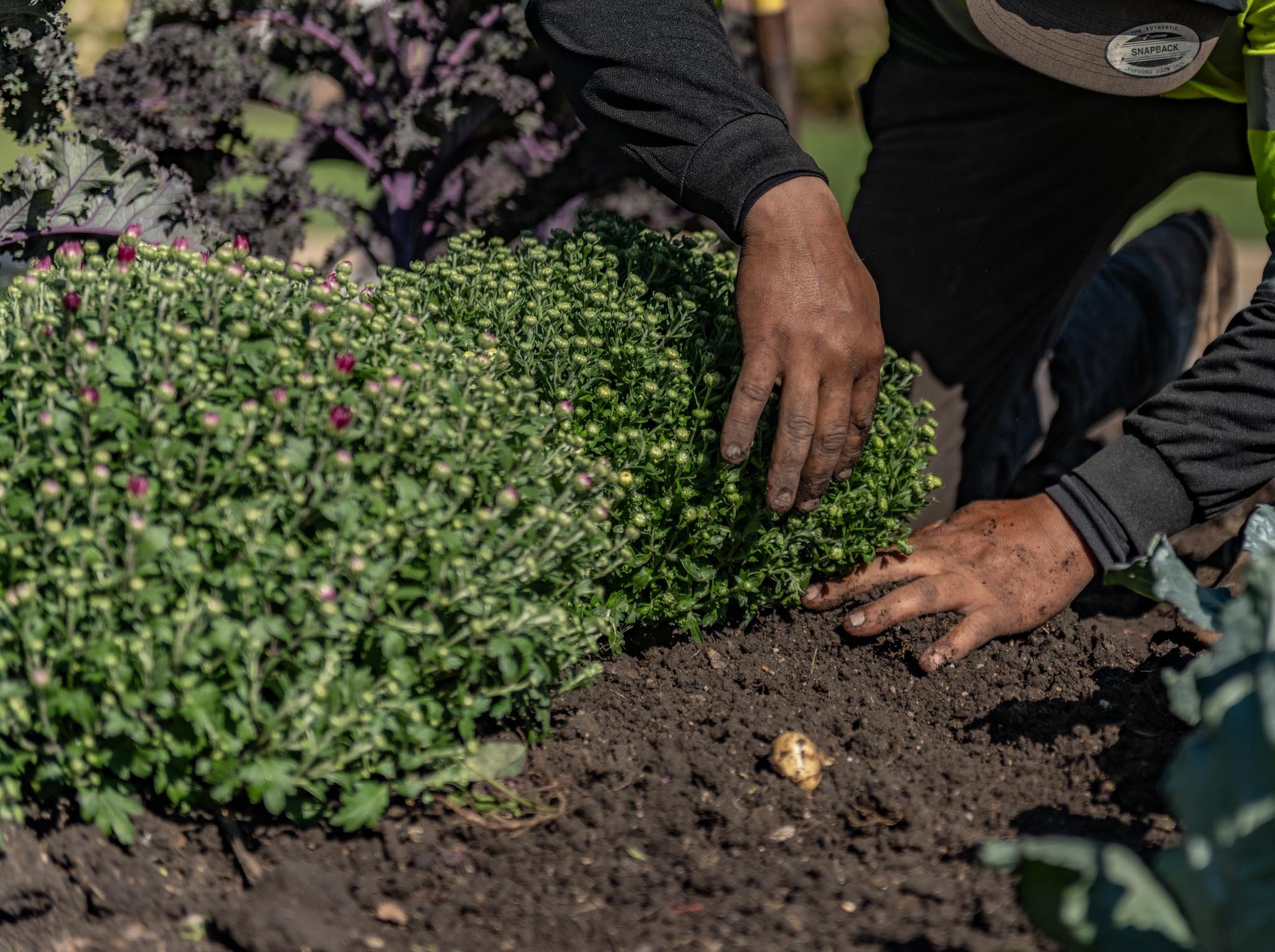 Elevations_FallShoot_Web-307