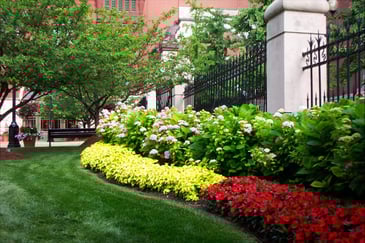 institutional property lawn and floral in landscaping plant bed